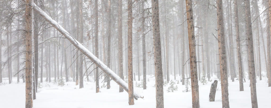 cross country skiing laramie wy