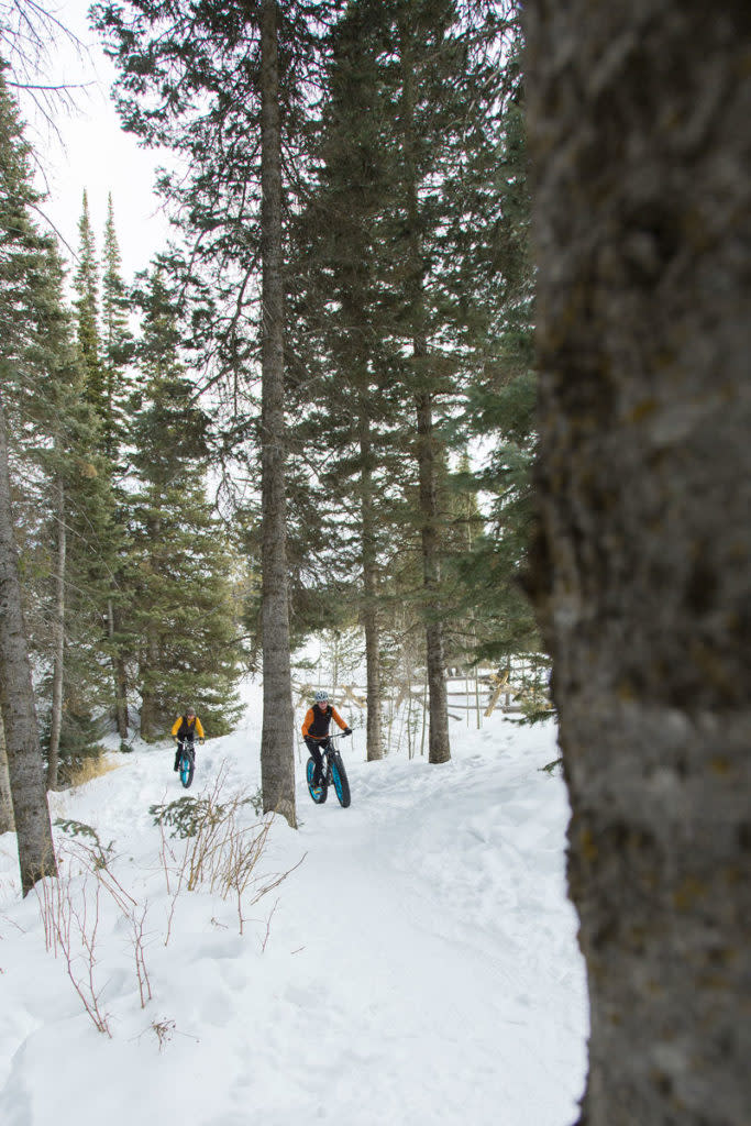 Tips for learning to snow bike