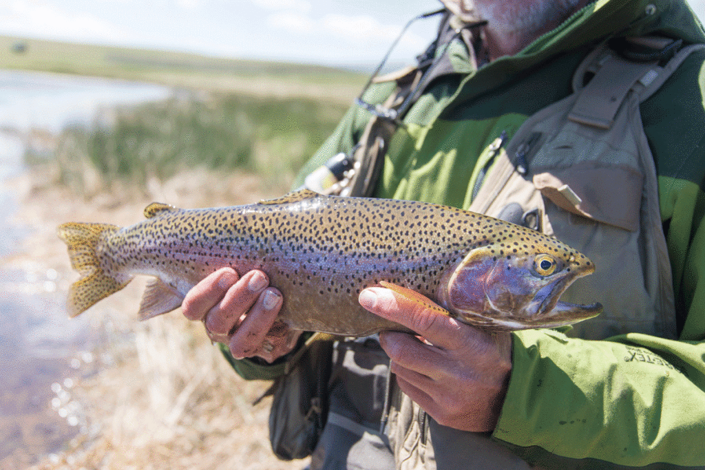 Diamond-Lake Laramie Wyoming