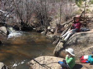 Wyoming Nature Picnic on Crow Creek Trail at Curt Gowdy State Park