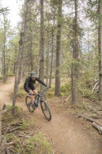 Laramie area mountain biking Happy Jack Trails