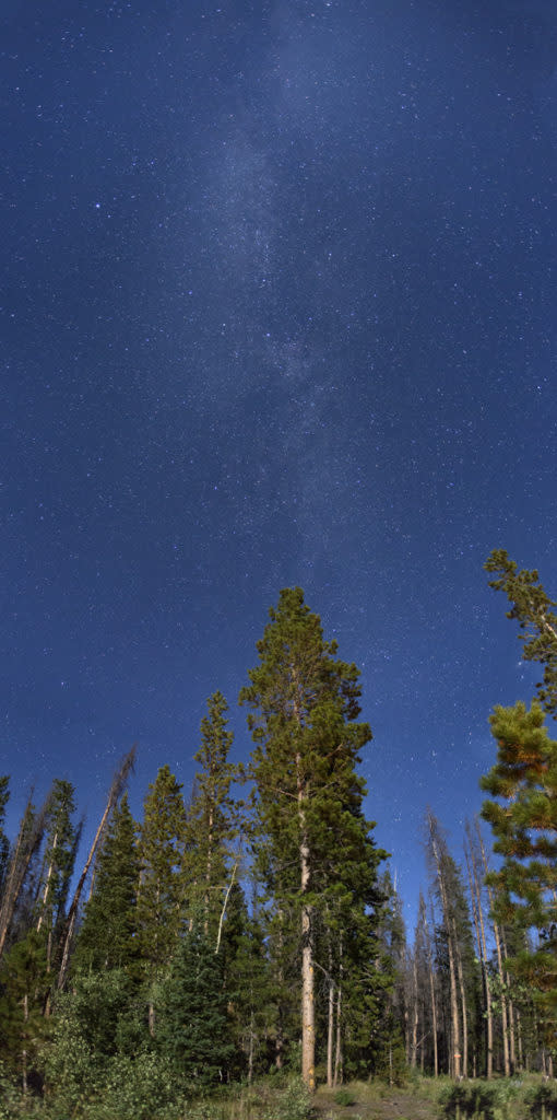 Wyoming camping under the stars