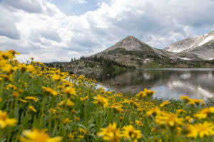 The Libby Creek Campgrounds Wyoming