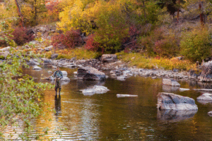 Fall fly fishing the North Platte River in Wyoming