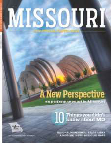 mdt travel guide