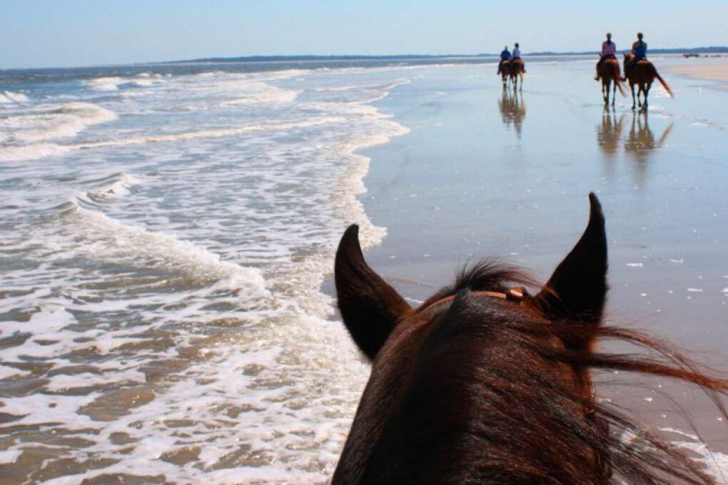 horseback riding on the beach in florida
