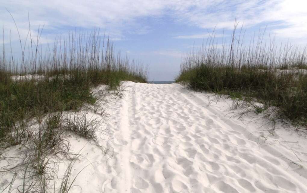 Pensacola_Beach_Sugar-Sand_Beaches_Blue_Angels_History_credit_Lauren_Tjaden (22)