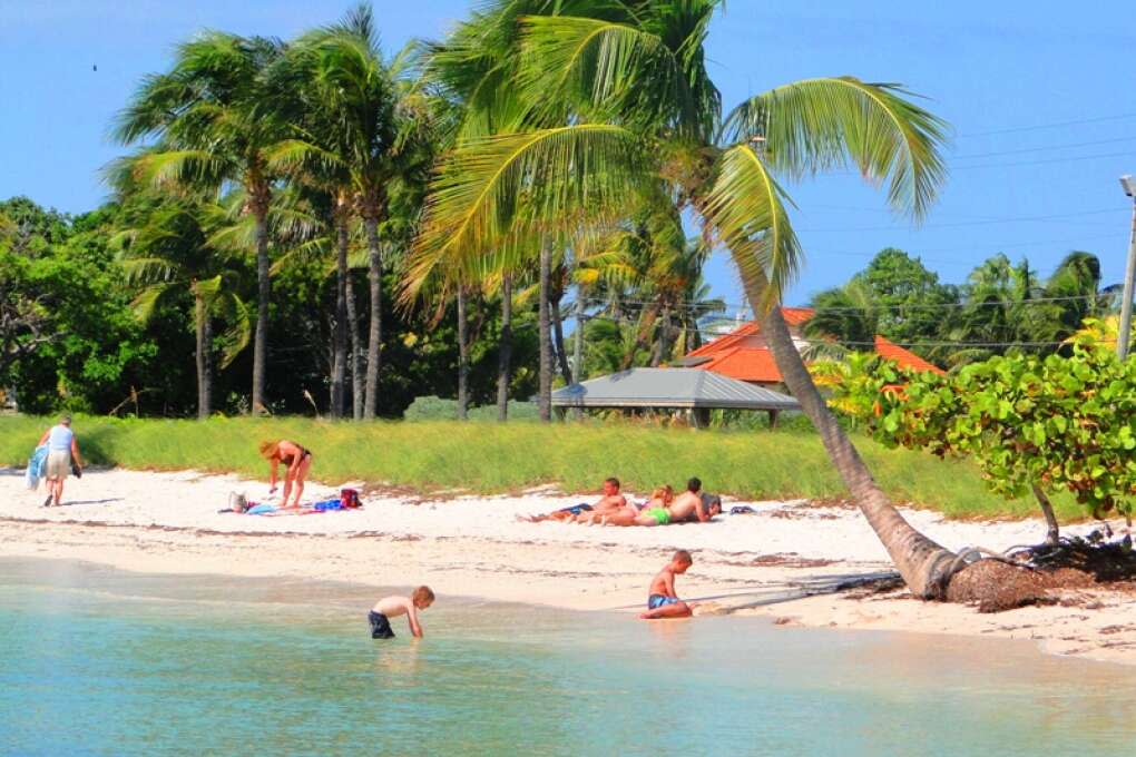 Families laying on a beach in the Florida Keys with an abundance of palm trees
