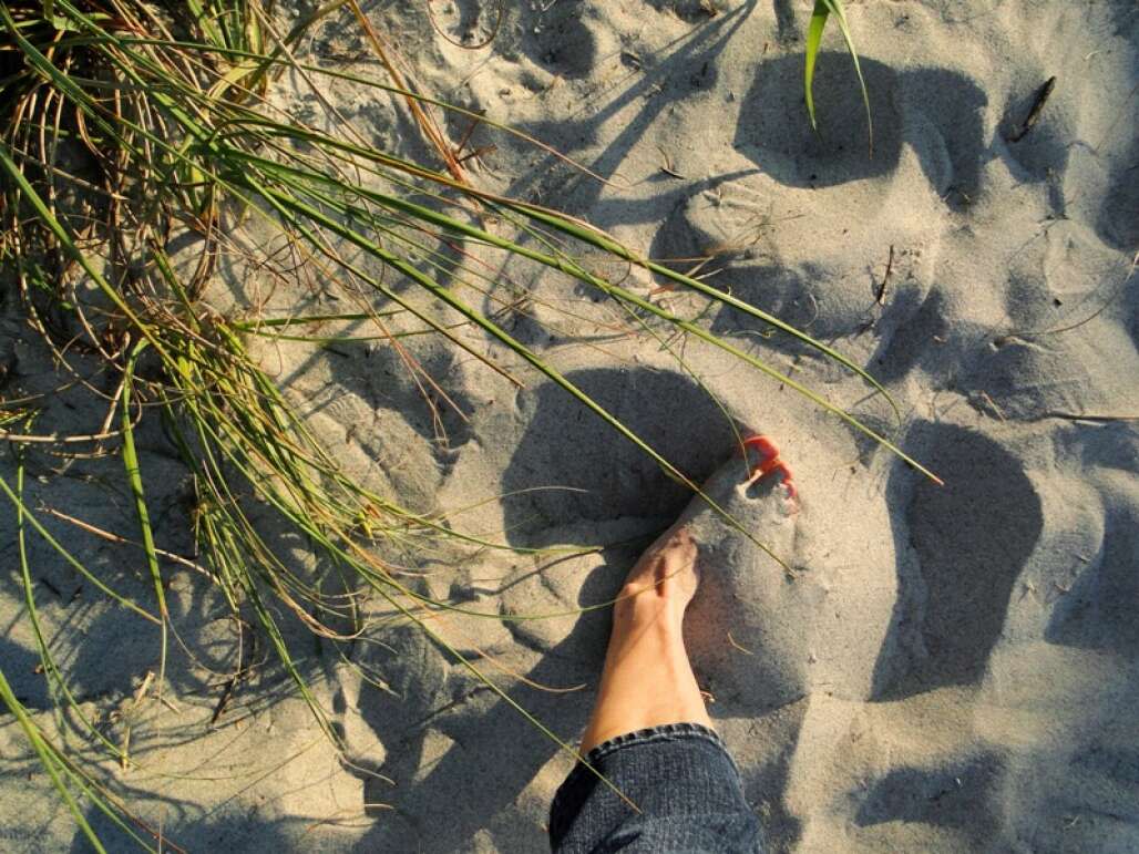 lori-wilson-park-cocoa-beach-credit-lauren-tjaden (4)