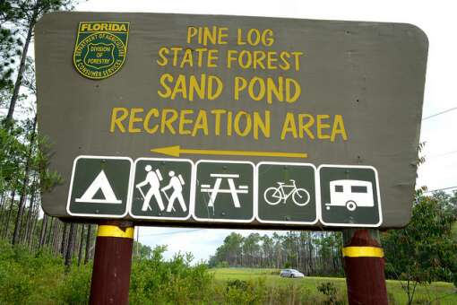 Explore Pine Log State Forest