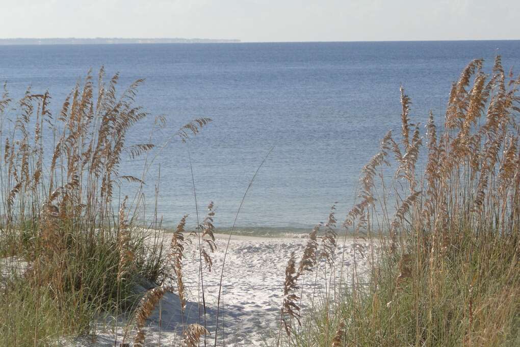 I wondered why Mexico Beach was empty on such a perfect day-- until I spotted the gator.