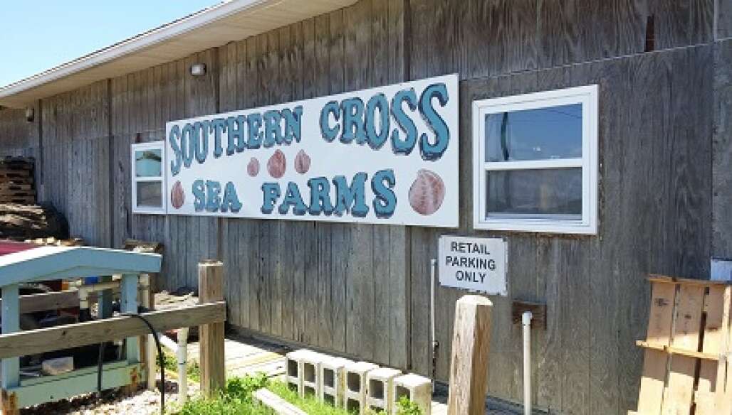 south cross sea farm cedar key
