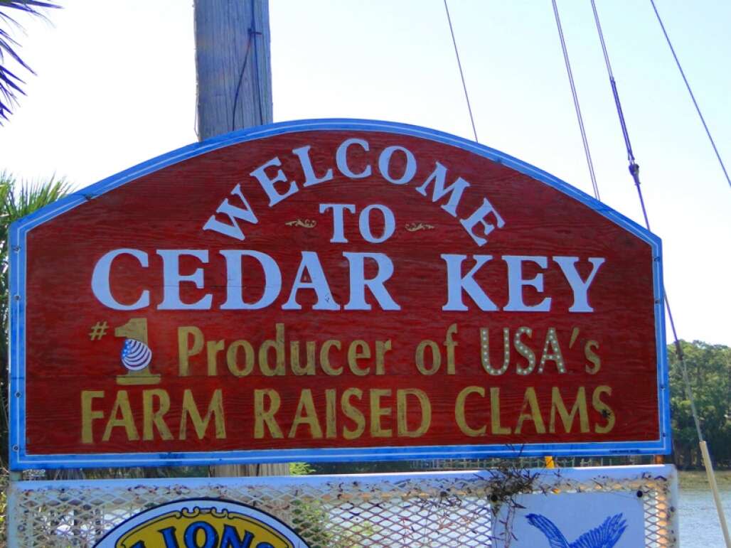 things to do in Cedar Key