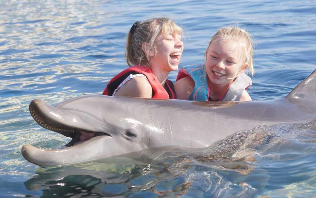 Flagler Beach Marineland