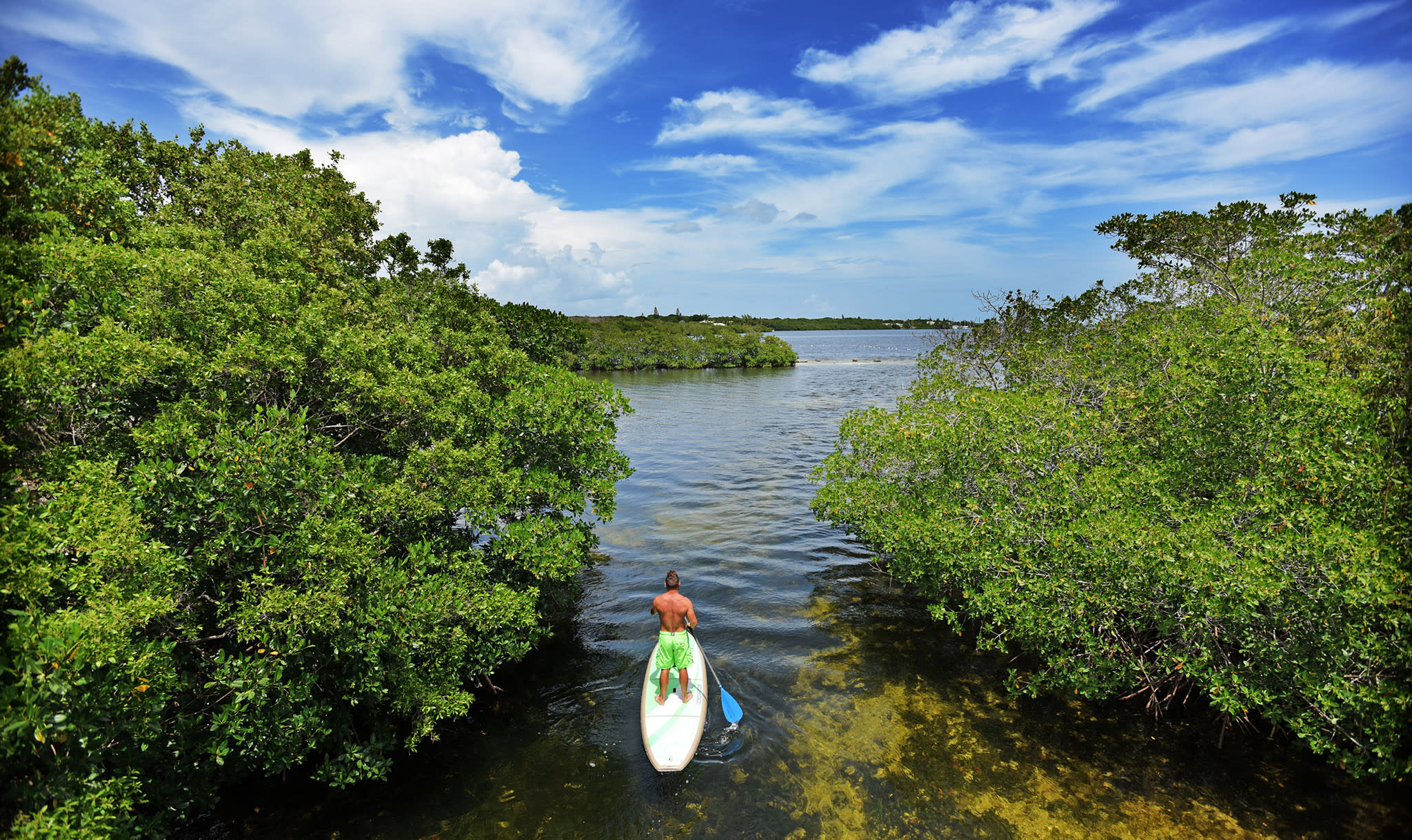 A paddleboarder paddling through the mangroves of John Pennekamp Coral Reef State Park in Key Largo