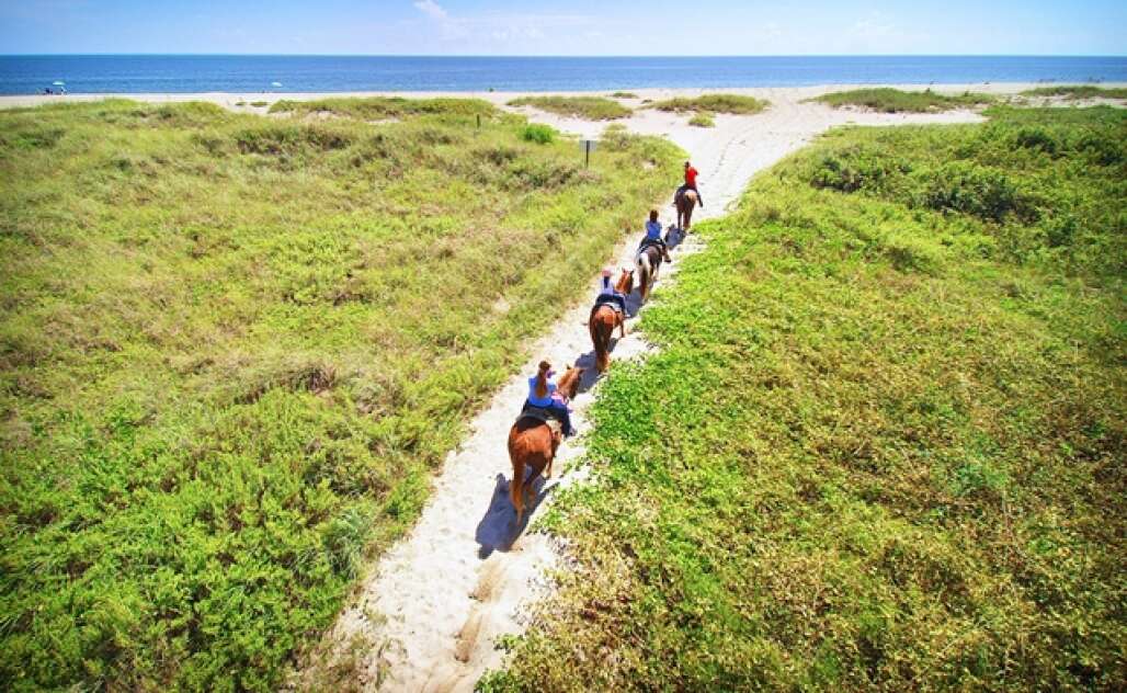 horseback riding at frederick douglass memorial park