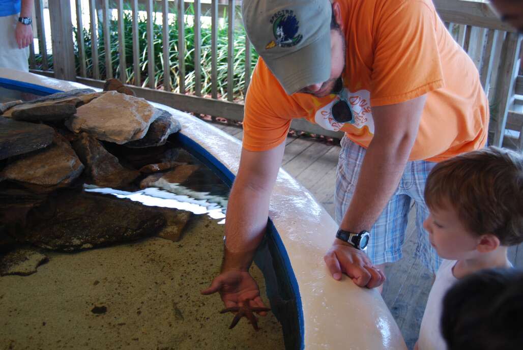 : man holding a star fish from the touch tank at the Gulfarium Marine Adventure Park