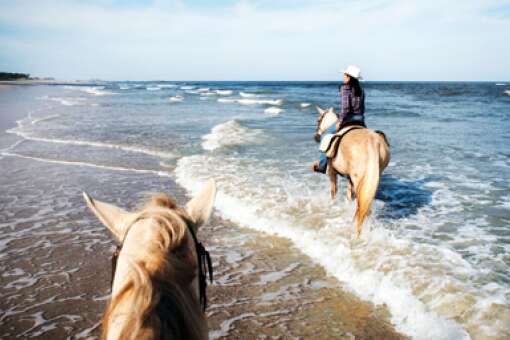 People riding on horseback on the beach on Amelia Island just outside of Jacksonville 