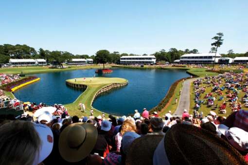 playing golf at the TPC Sawgrass Players Stadium Course