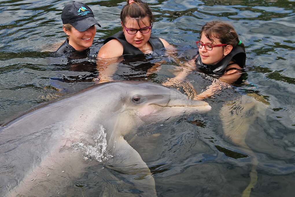 Jennifer Gomez and her sister Wendy, of Miami, enjoy getting to know the dolphins at Island Dolphin Care in Key Largo with an assist from Recreational Therapist Mallory Parsons. Jennifer, who has Autism, enjoyed this early summer day of Dolphin Therapy.