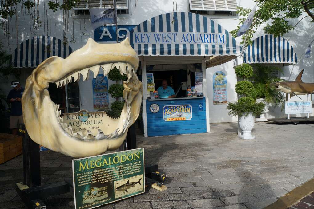 Don't miss seeing the Key West Aquarium