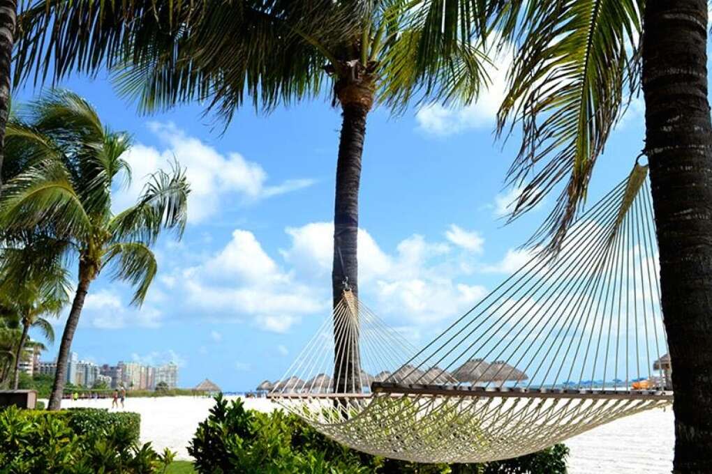 things to do in Marco Island