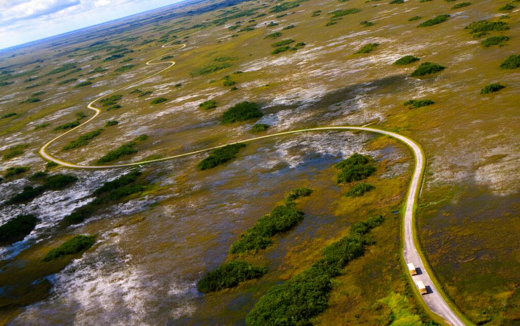 Overhead view of Shark Valley in the oh-so-remote Everglades