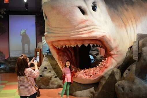 Bring the family for a day of exploration at the Museum of Discovery & Science in Fort Lauderdale.