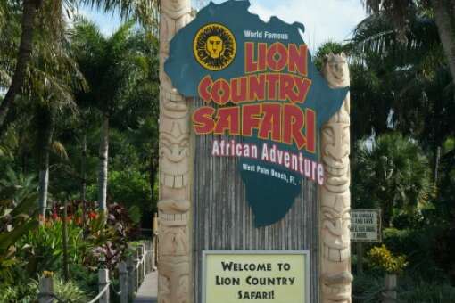 Welcome to the Lion Country Safari