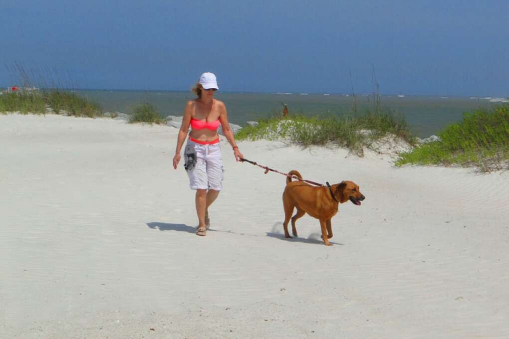new_smyrna_beach_credit_lauren_tjaden (2)