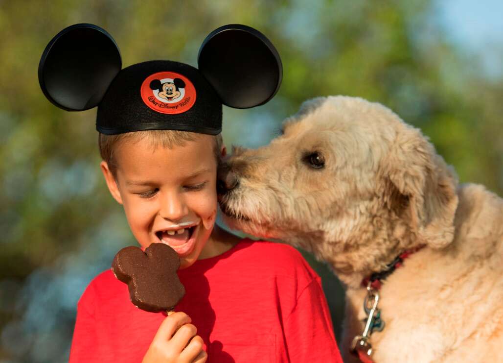 dog licking a young boy eating a Mickey Mouse ice cream bar