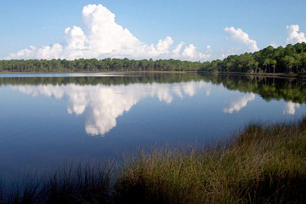 Tarkiln Bayou Preserve State Park