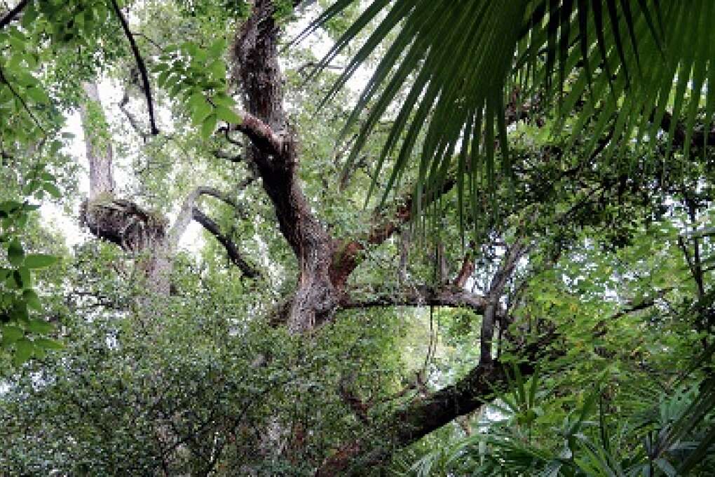 Sacred Lands Offer History, Nature and Respect
