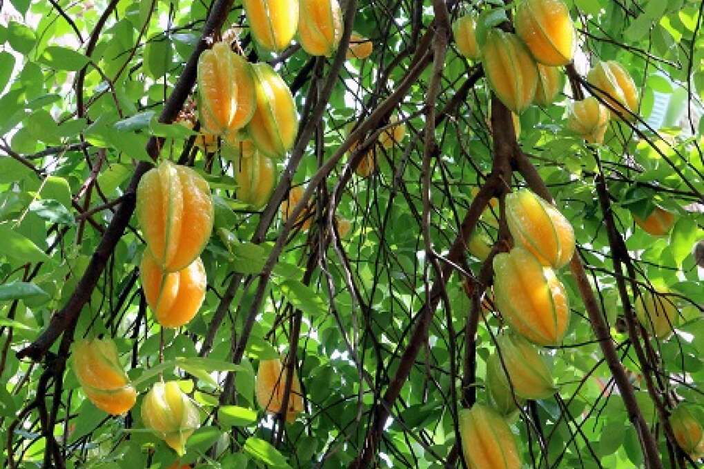 Sacred Lands Offer History, Nature and Respect