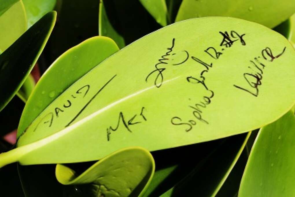 Sacred Lands Offer History, Nature and Respect