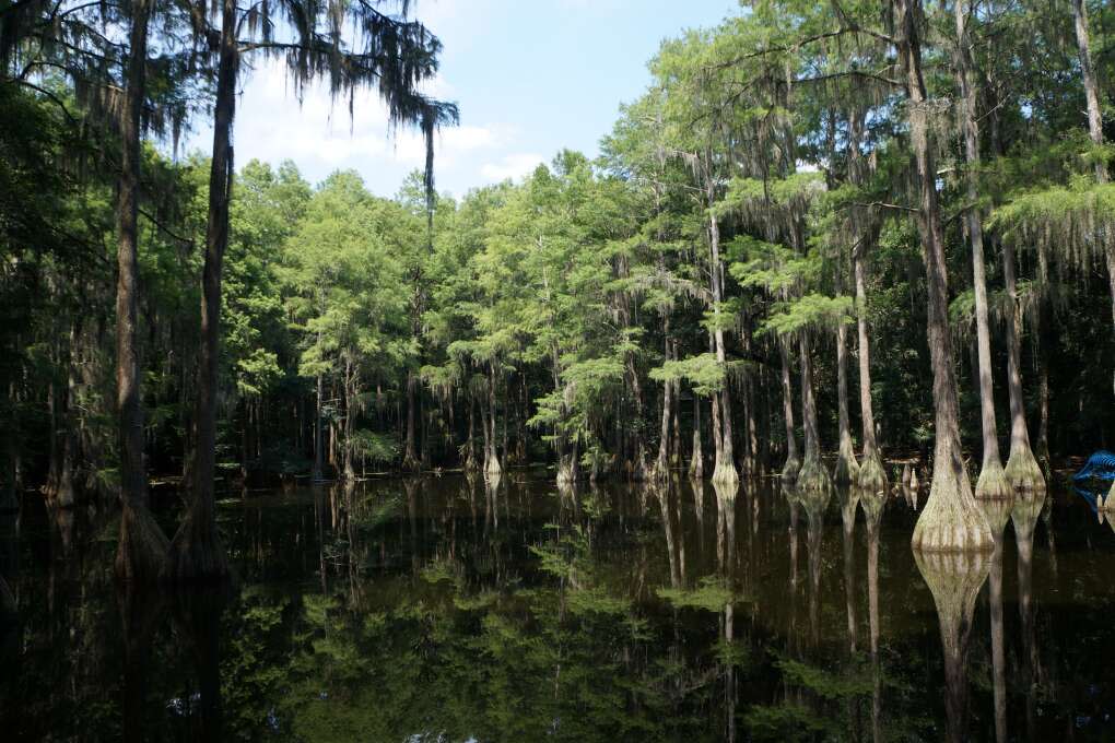 Relax and enjoy the music at Swamp Stomp