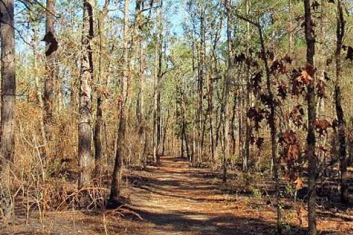 walking trails at Native American heritage tallahassee