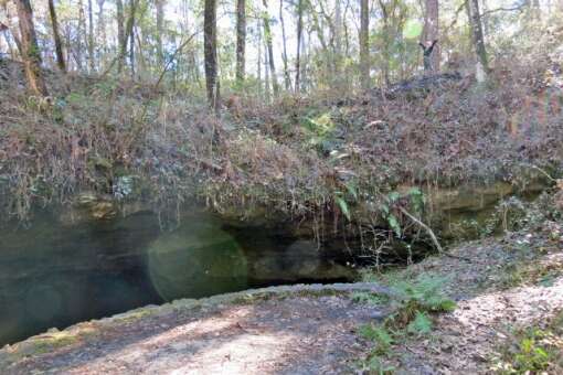 Sinkhole at the Leon Sinks Trail