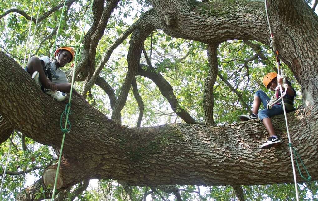 The nonprofit Pathfinder Outdoor Education, based in St. Petersburg, offers Open Tree Climb sessions with ropes and harnesses for ages 6 and up. 