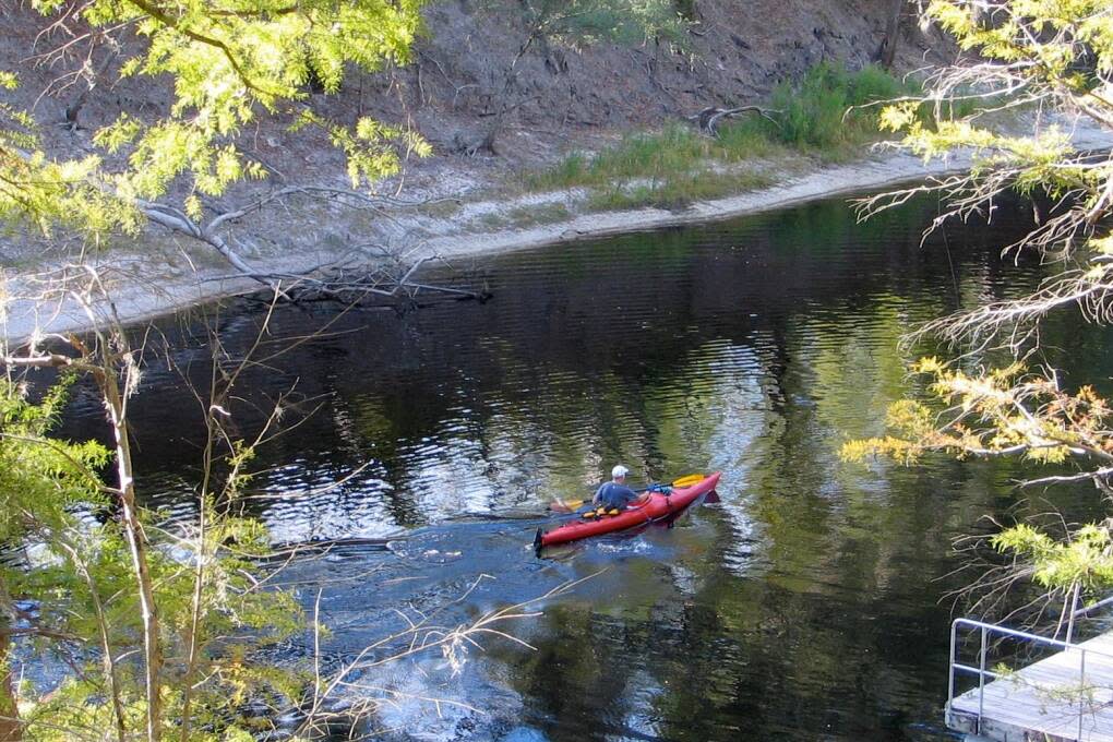 Kayaking down the Suwannee River in White Springs.