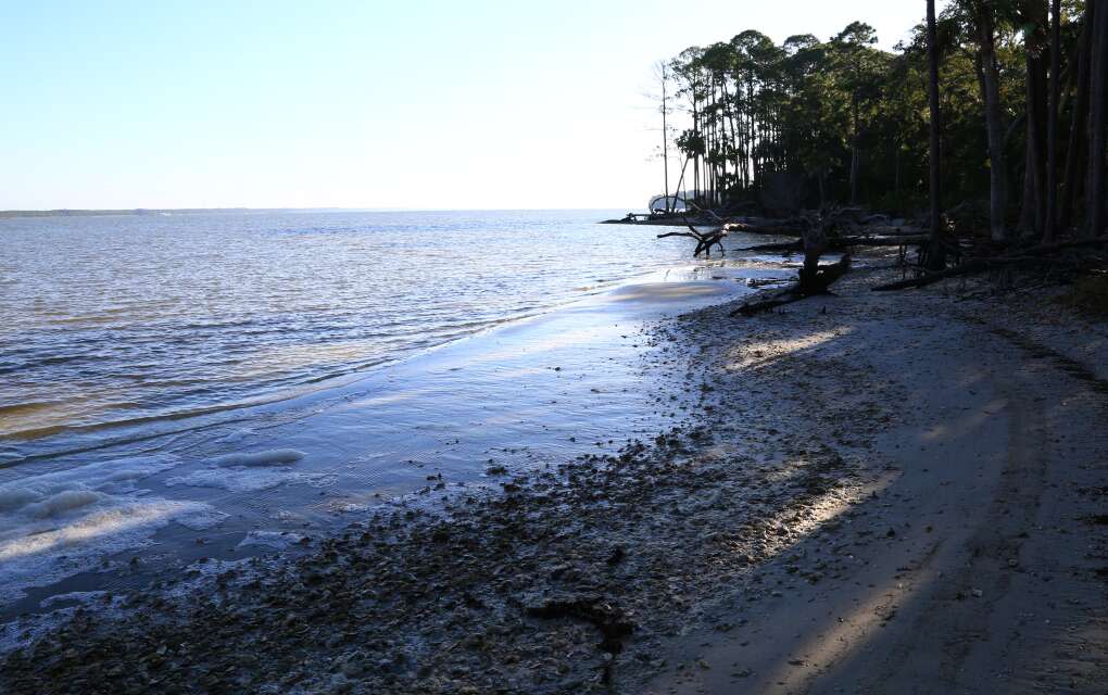 St. Vincent National Wildlife Refuge promises a beach covered in shells, coral and rocks.