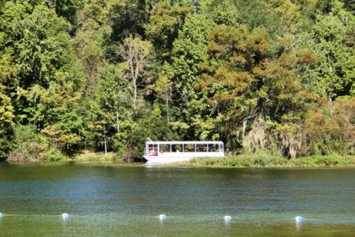 One of Florida's most famous springs is Edward Ball Wakulla Springs State Park, southwest of Tallahassee. 