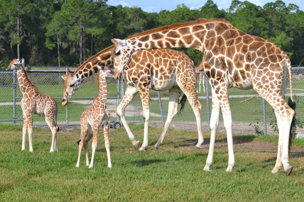 Must-Do Family Activities in Florida | VISIT FLORIDA