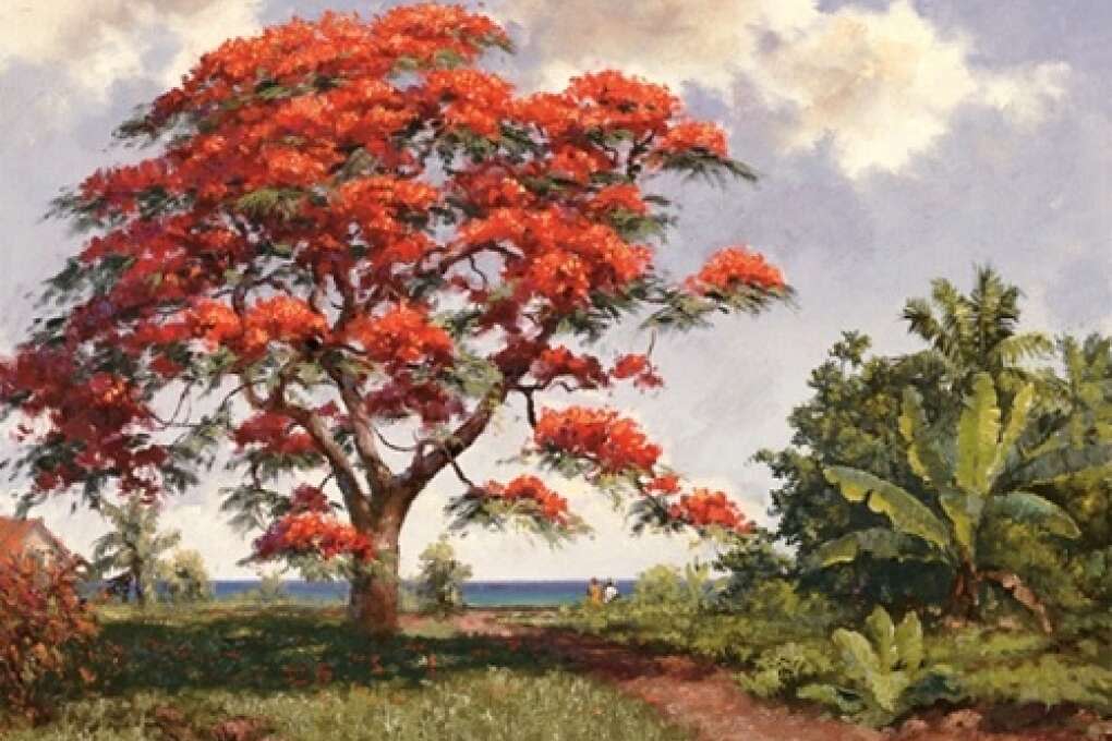 A royal poinciana tree is a favorite image for the Highwaymen artists -- who were inspired (and taught) by Backus.