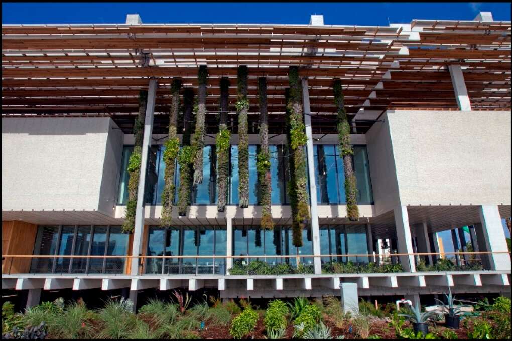 Hanging columns of living plants designed by the world-renowned vertical garden innovator Patrick Blanc add to the airy tropical flair of the Perez Art Museum Miami.