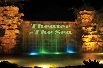The classic attraction Theater of the Sea in Islamorada, opened in 1946, offers animal shows and interactive programs.