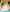 cool-pools-for-kids-orlando-audette-photo-3.JPG