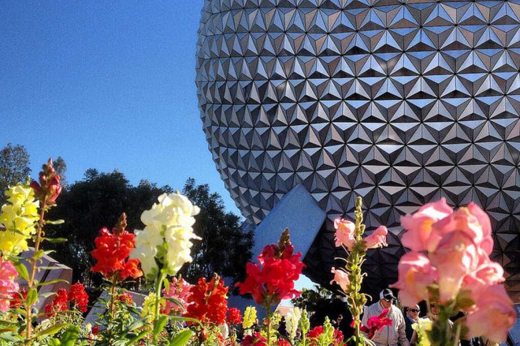 Vibrant flowers in front of the Spaceship Earth geosphere (the big silver ball) at The Epcot International Flower at Garden Center
