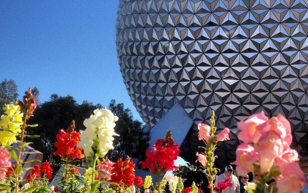 Epcot globe viewed from behind flowers