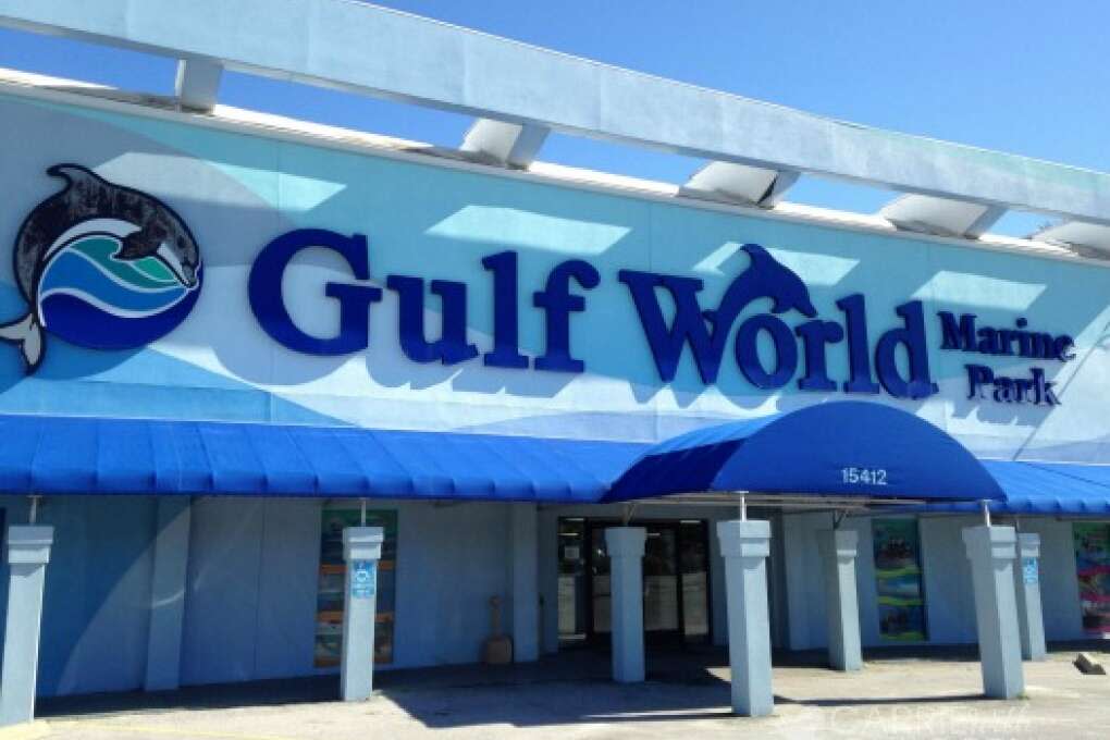 Explore Gulf World Marine Park